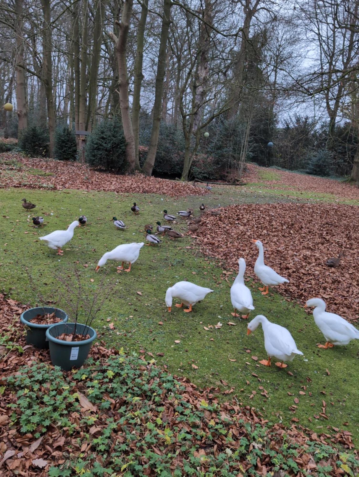 Eremyten Hof Evergem ภายนอก รูปภาพ